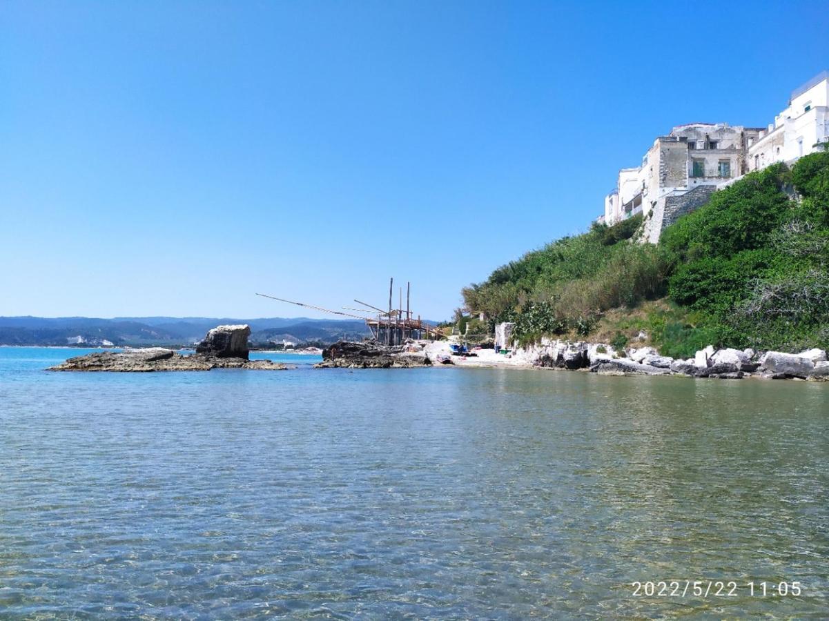 Casina Viestana Βίλα Βιέστε Εξωτερικό φωτογραφία